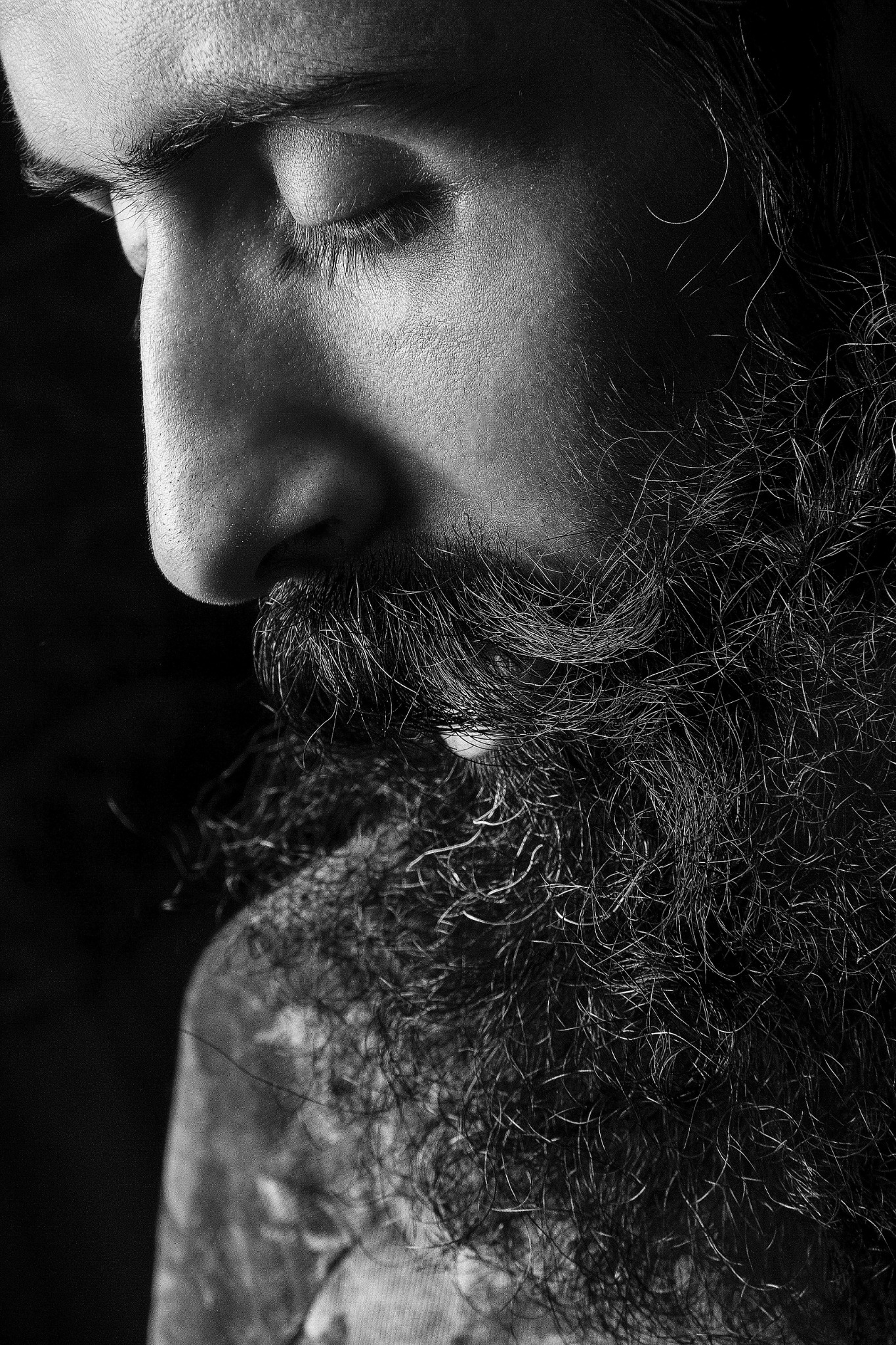 Bearded man portrait for Origins of Beards